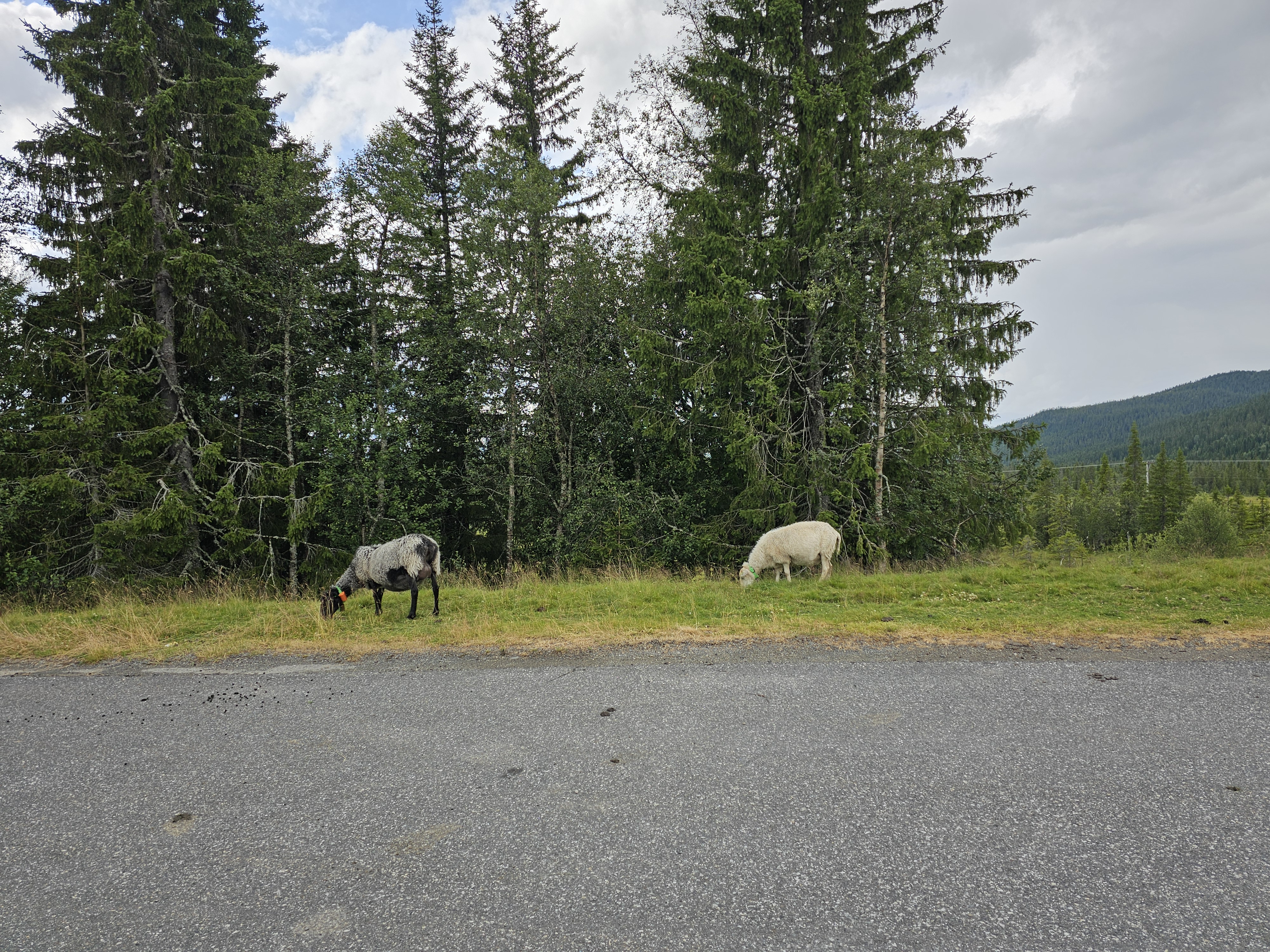 Weg zum Fels 