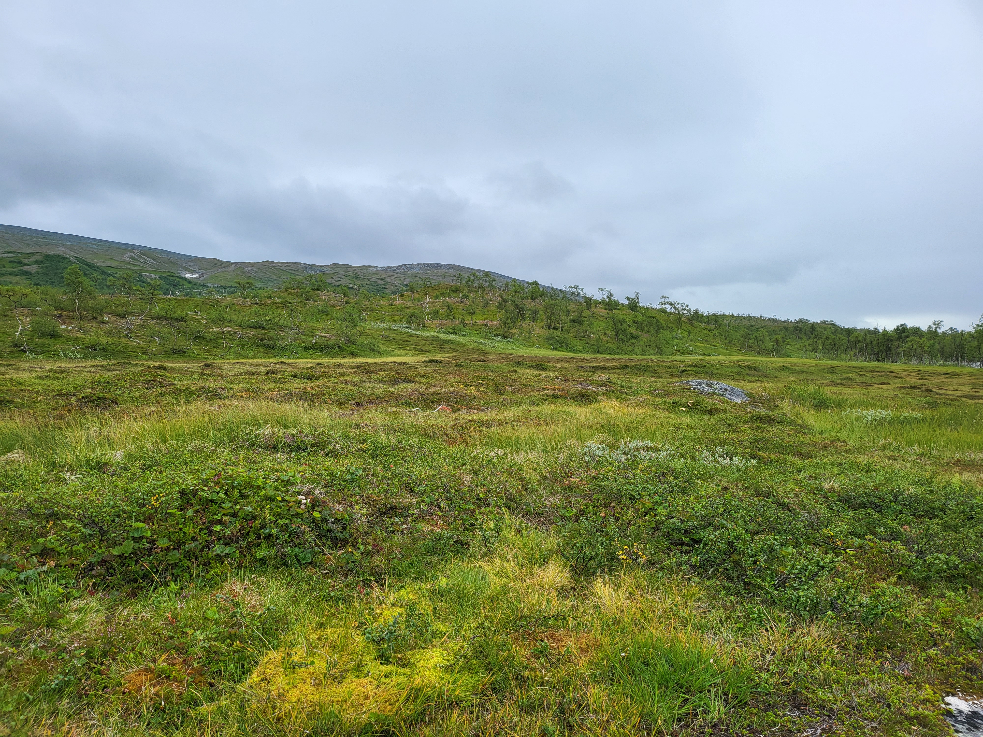 Landschaft