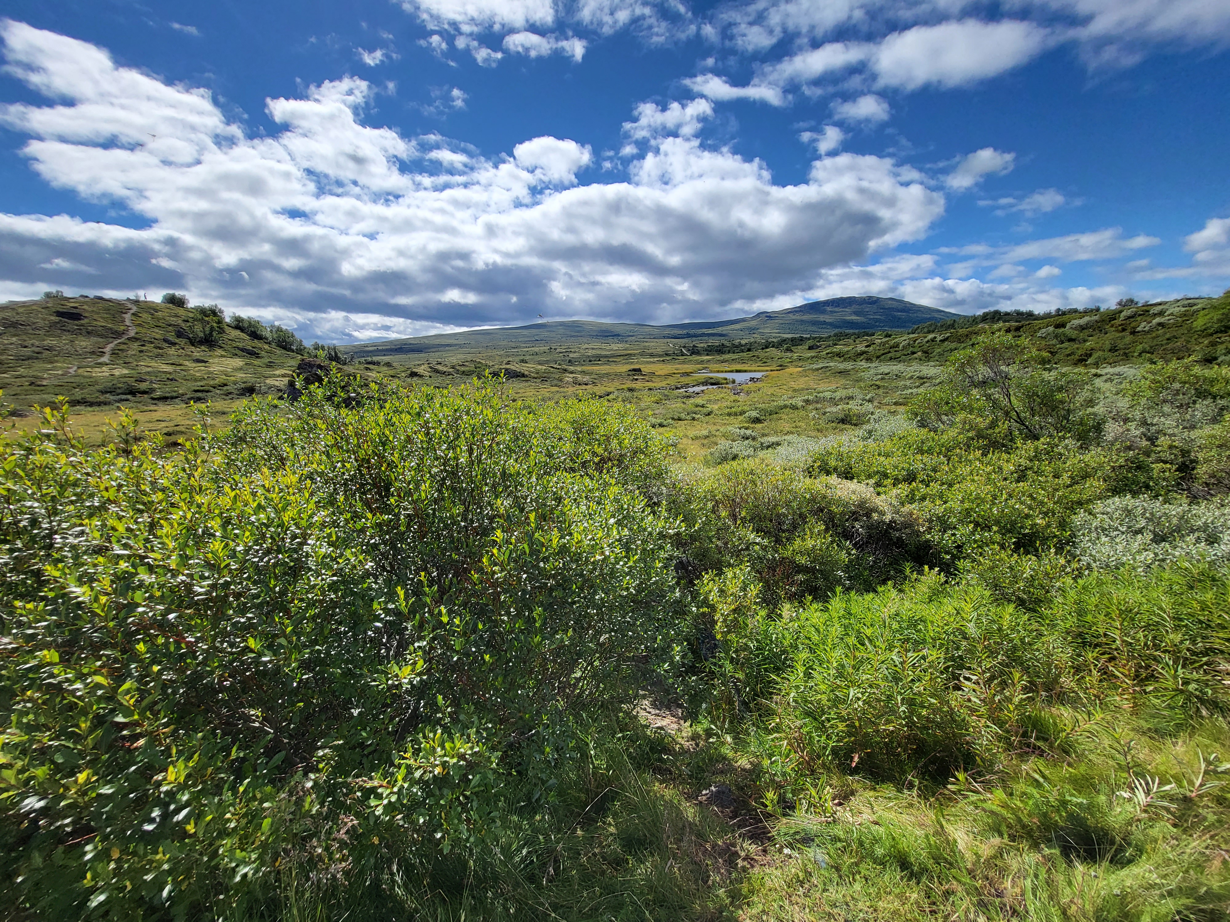 Blick in die Weite von Norwegen